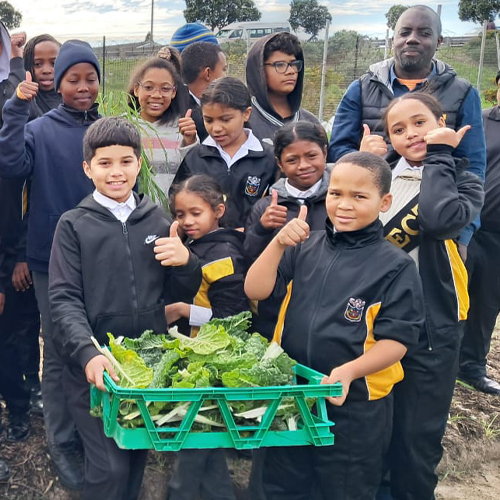 Website_Square_500x500px_10